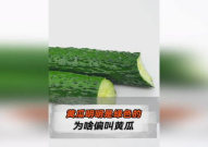 吃瓜网绿,带你走进神秘的网络世界
