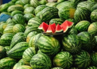 吃瓜福利网,带你畅游美食盛宴的云端世界