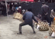 每日有趣gif图,趣味gif图，轻松一刻乐翻天